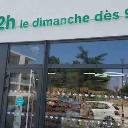 Toulouse Vaste Appartement Tres Lumineux Εξωτερικό φωτογραφία