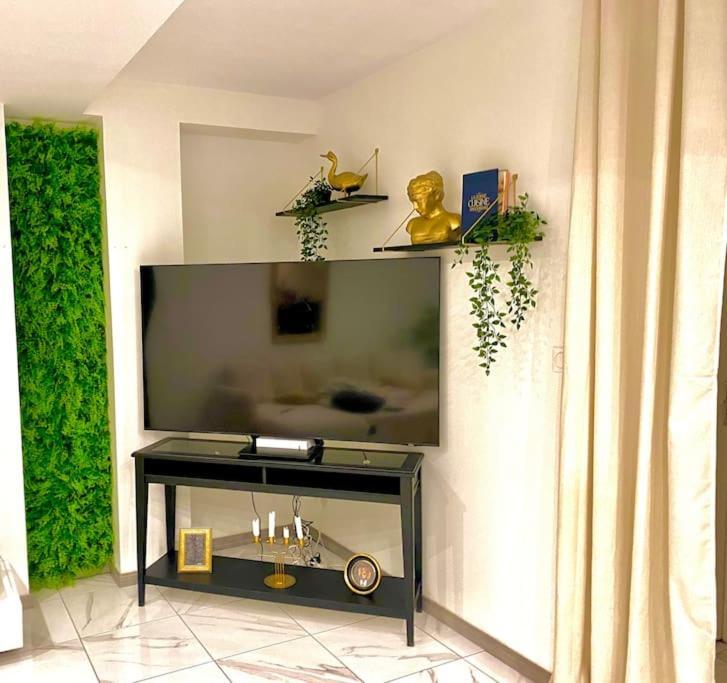 Toulouse Vaste Appartement Tres Lumineux Εξωτερικό φωτογραφία