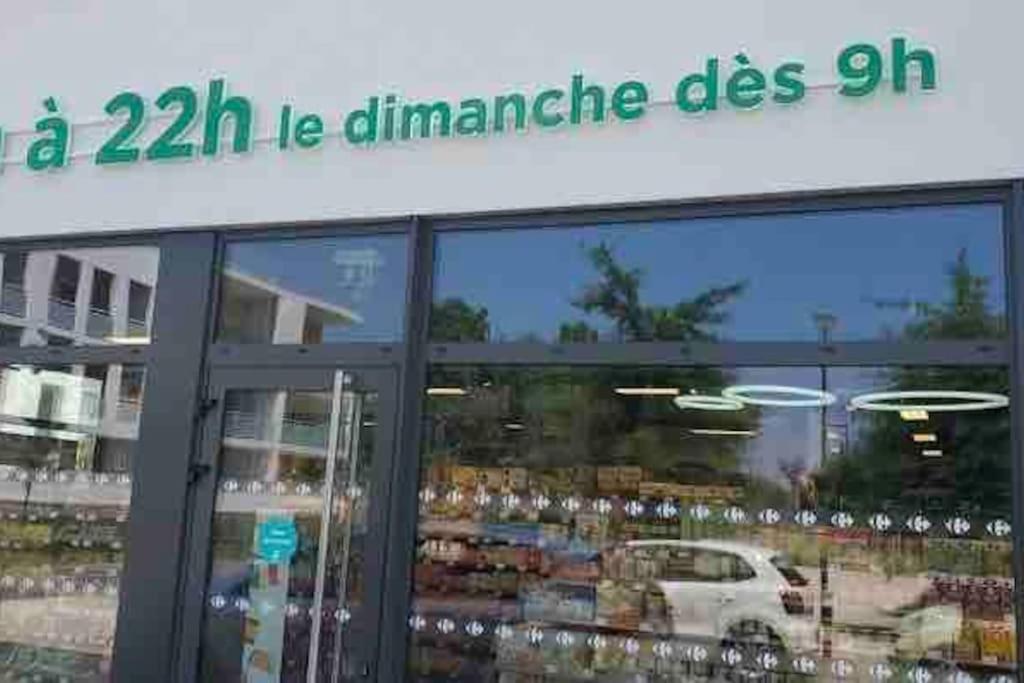 Toulouse Vaste Appartement Tres Lumineux Εξωτερικό φωτογραφία
